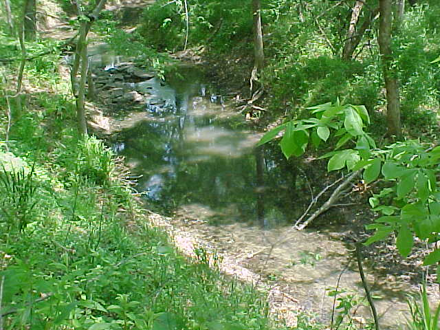 Creek beside cemetery