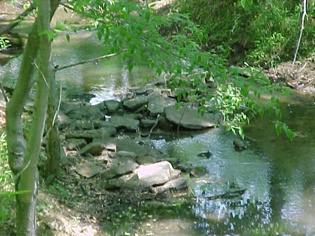 Creek view 2
