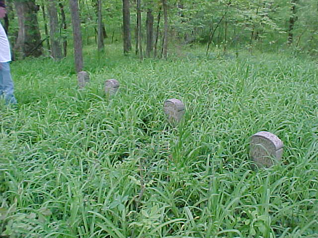 Cemetery overview 2